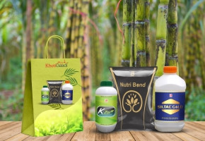 Sugarcane Growth kit